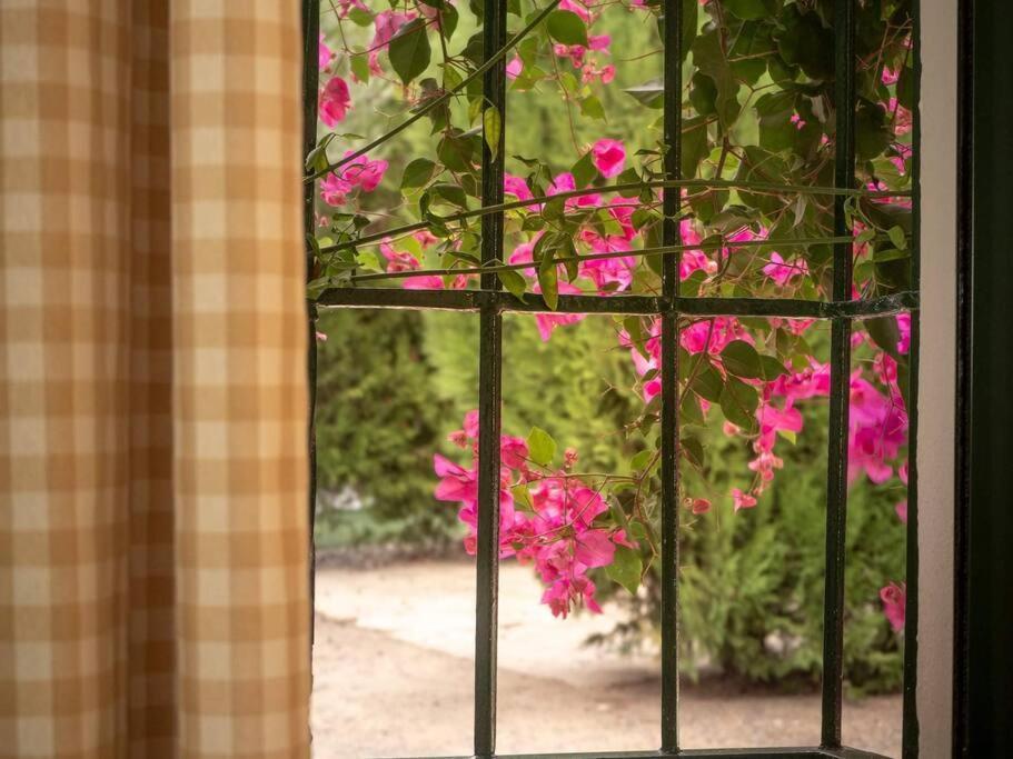 Ranchito De Alhucemas,Piscina Privada Y Barbacoa Villa Montellano Ngoại thất bức ảnh