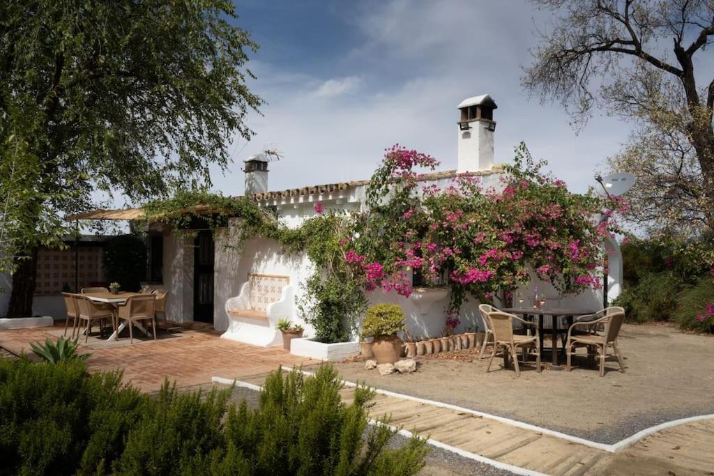 Ranchito De Alhucemas,Piscina Privada Y Barbacoa Villa Montellano Ngoại thất bức ảnh